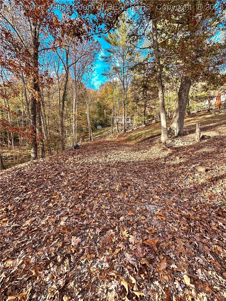 1652 Thunder Road Chapmanville, WV 25508 - Photo 28 of 31 Gallery Image 28