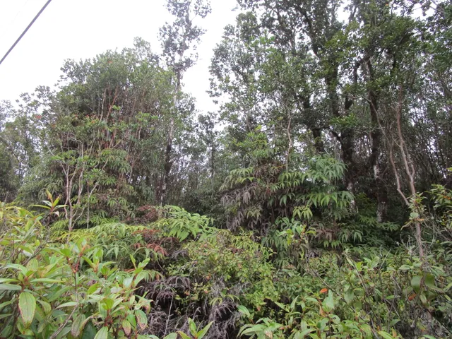 $48,000 | 2361 Road 1 Uhini Ana, Mountain View, HI 96771