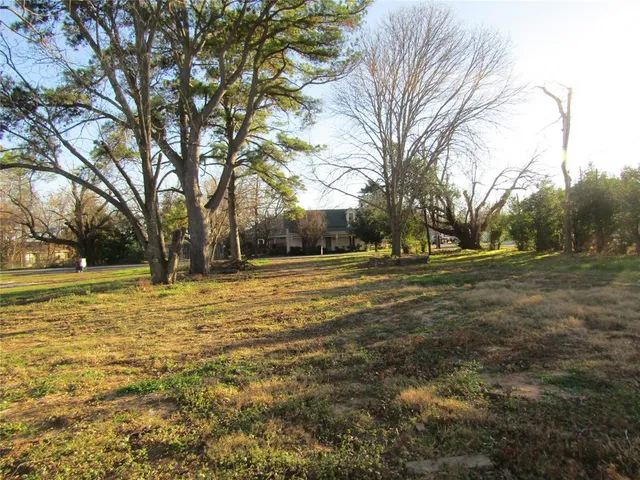 a view of large trees with yard