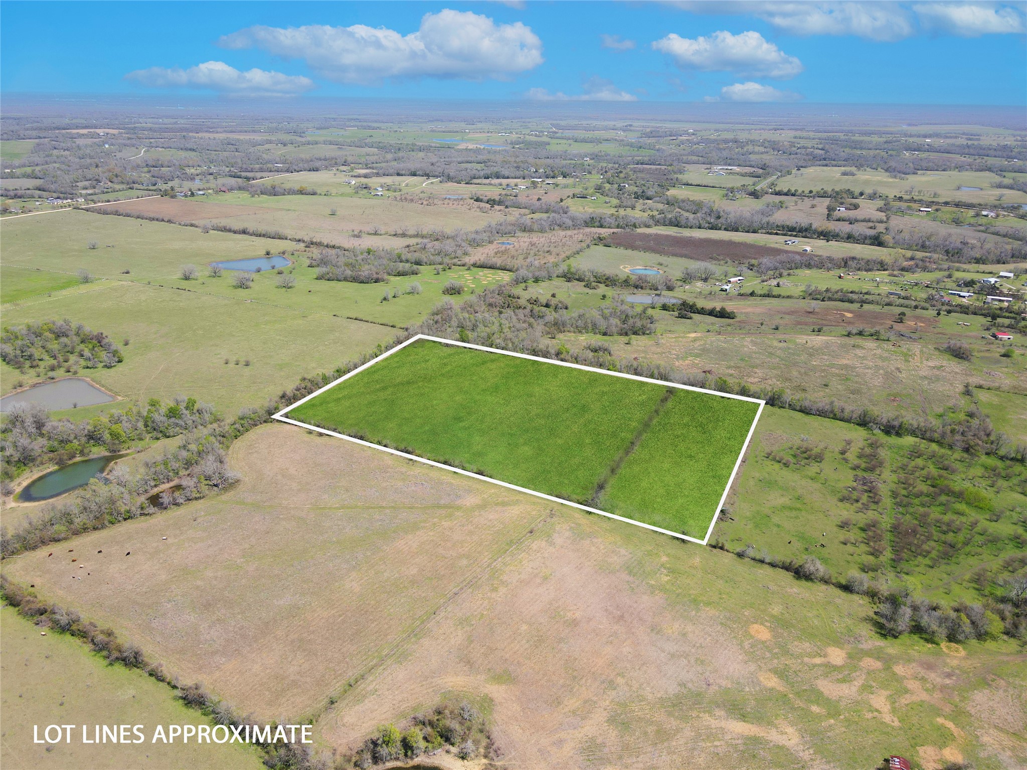 1155 E East Washington, TX 77880 - Photo 5 of 17 an aerial view of beach and ocean