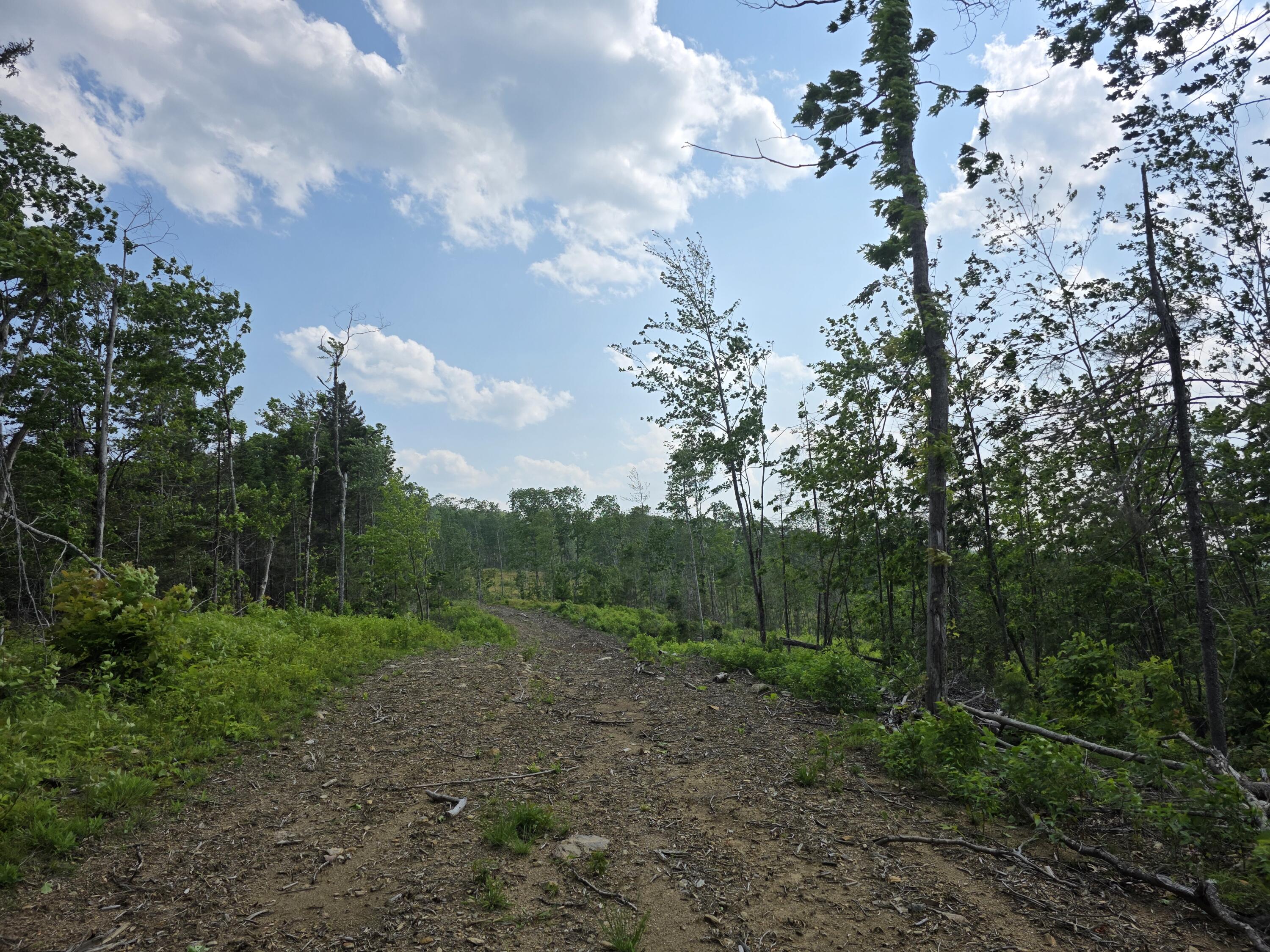 74 French Town And Muzzy Ridge Road Searsmont, ME 04973 - Photo 2 of 39 1000019028