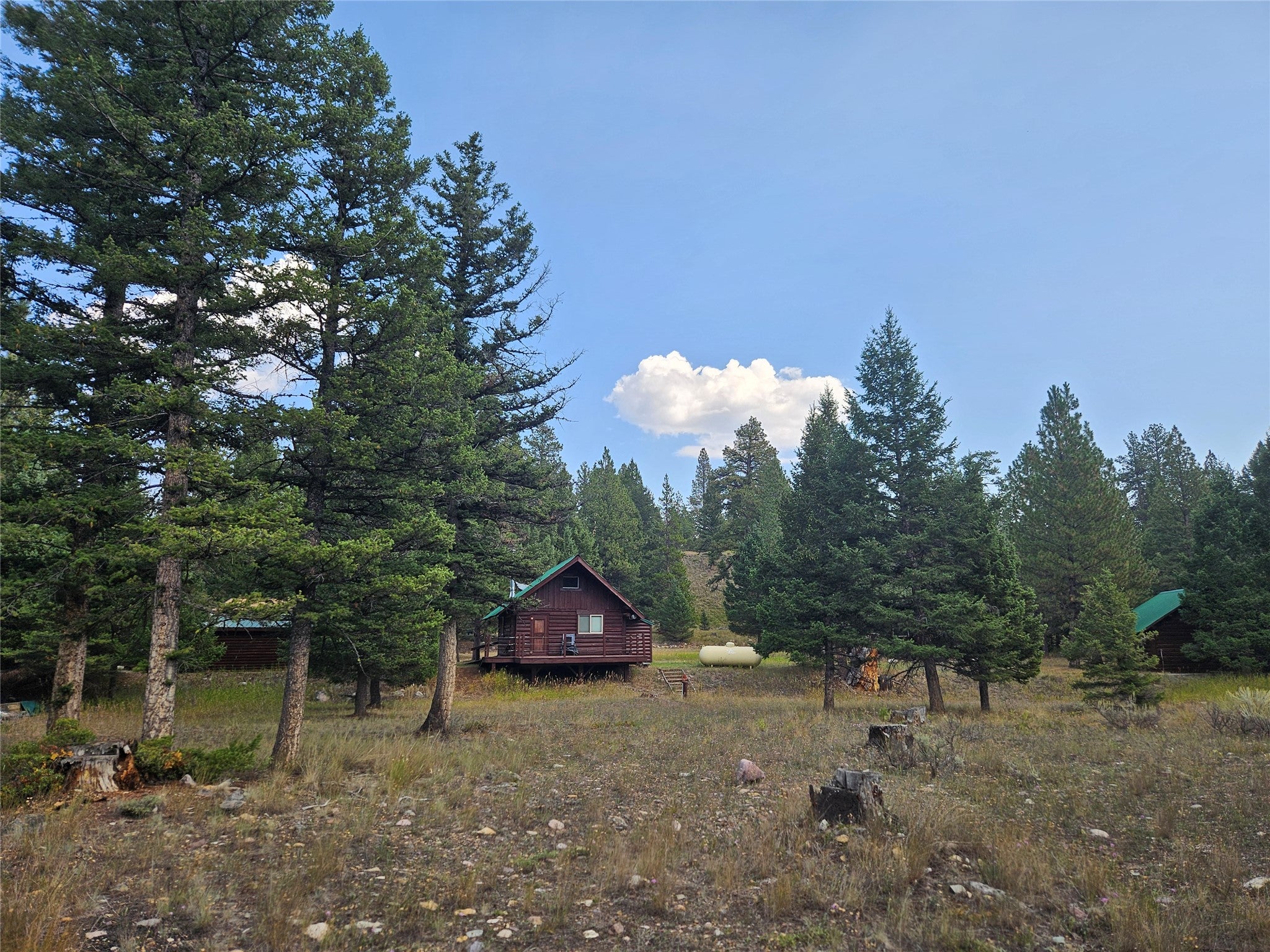 8880 Elk Trail Loop Lincoln, MT 59639 - Photo 53 of 55 Gallery Image 53