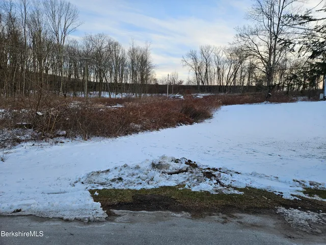 a view of a lake with a mountain