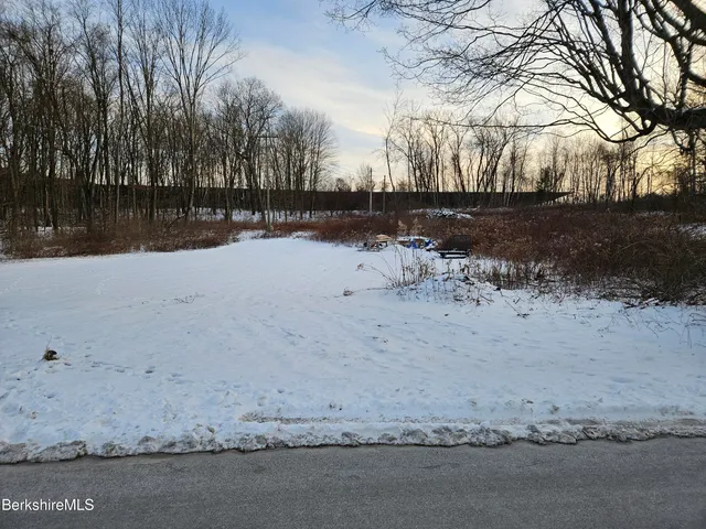 a view of yard covered with snow in front of house
