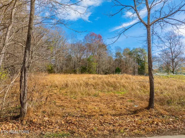 $279,000 | Collins Road, Blaine, TN 37709