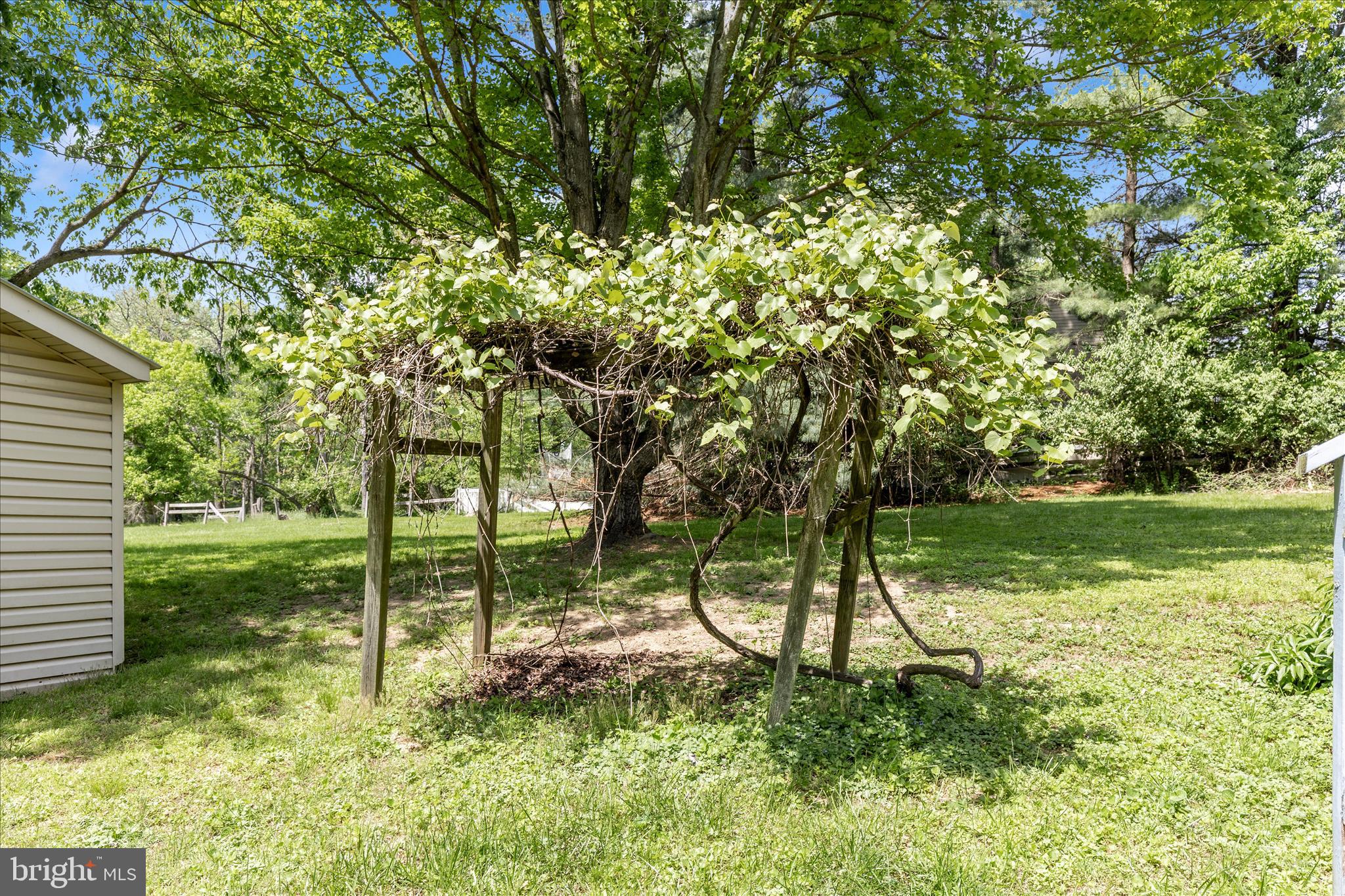 3020 Chestnut Grove Road Keedysville, MD 21756 - Photo 42 of 46 Grape Arbor