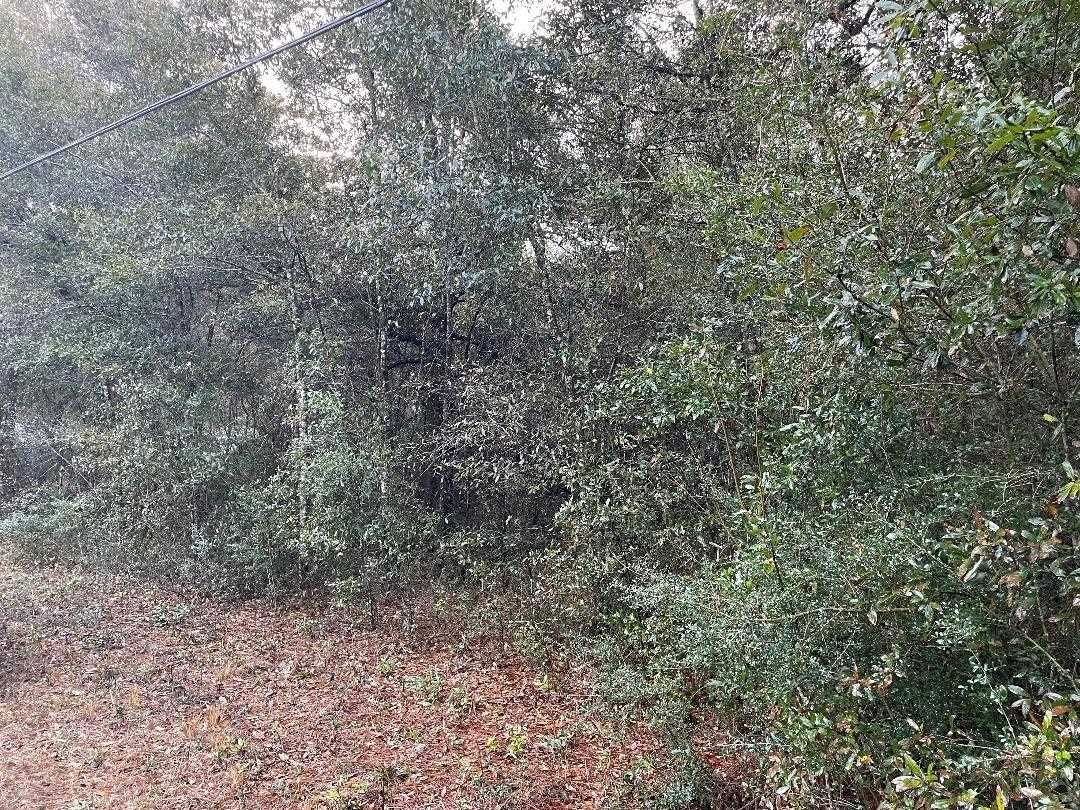 Tom Sawyer Road Milton, FL 32583 - Photo 3 of 4 Gallery Image 3