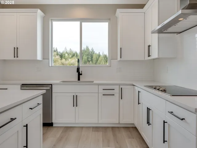 a kitchen with a sink stove and wooden floor