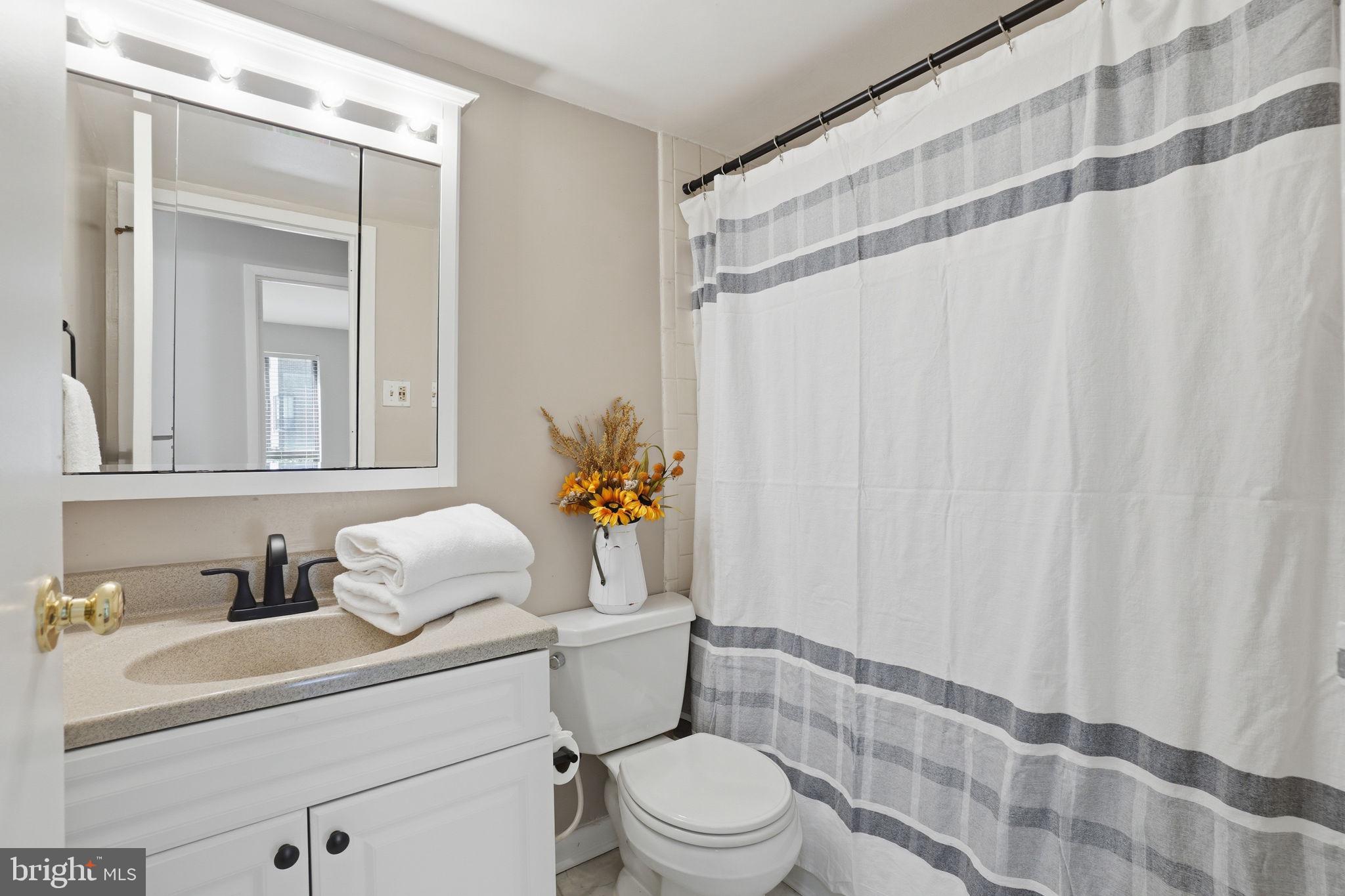 11228 Chestnut Grove Square, Unit 132 Reston, VA 20190 - Photo 14 of 25 Charming bathroom with modern touches.