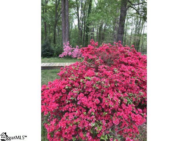 490 State Rd S-42-9538 Chesnee, SC 29323 - Photo 30 of 31 Gallery Image 30