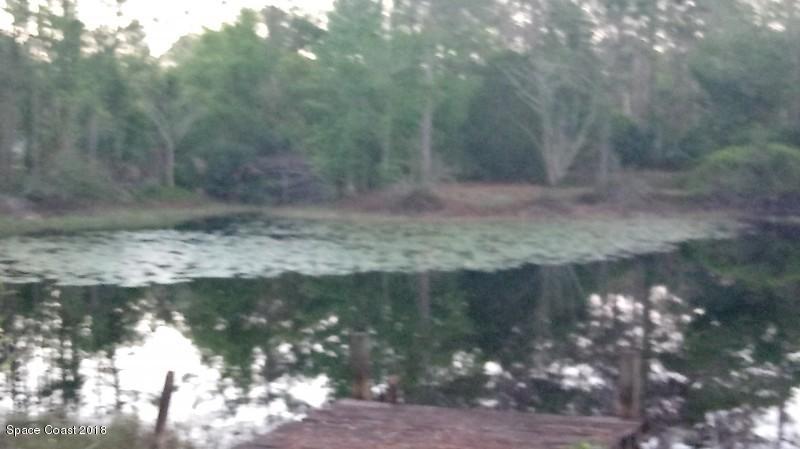 1960 Turpentine Road Mims, FL 32754 - Photo 5 of 12 05
