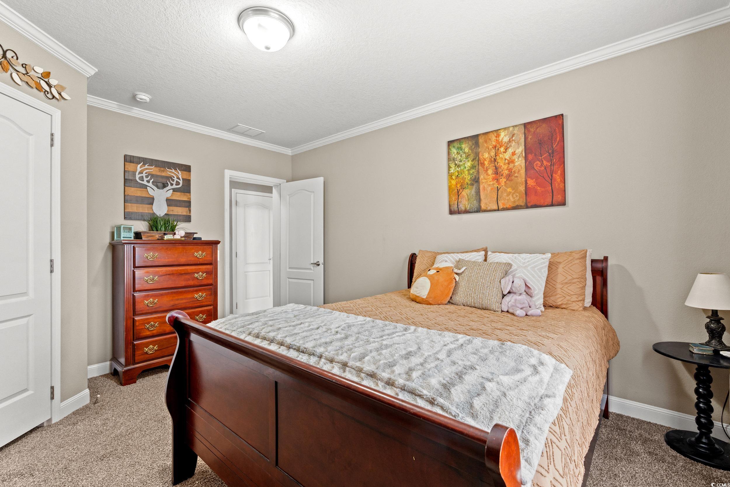 4393 Salem Road Aynor, SC 29511 - Photo 19 of 40