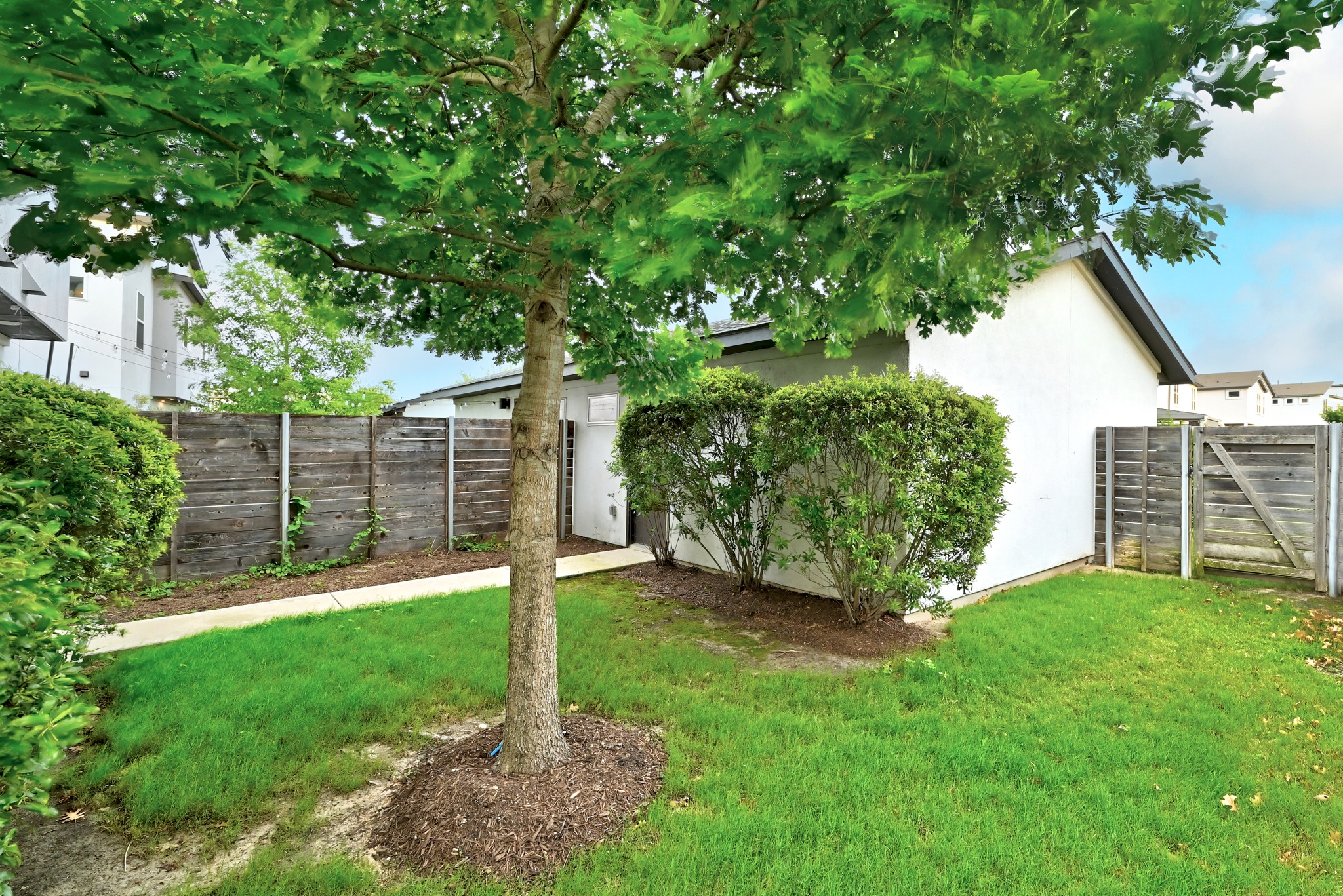 5517 Charles Merle Dr., Unit B Austin, TX 78747 - Photo 14 of 25 a view of a backyard with plants and large trees