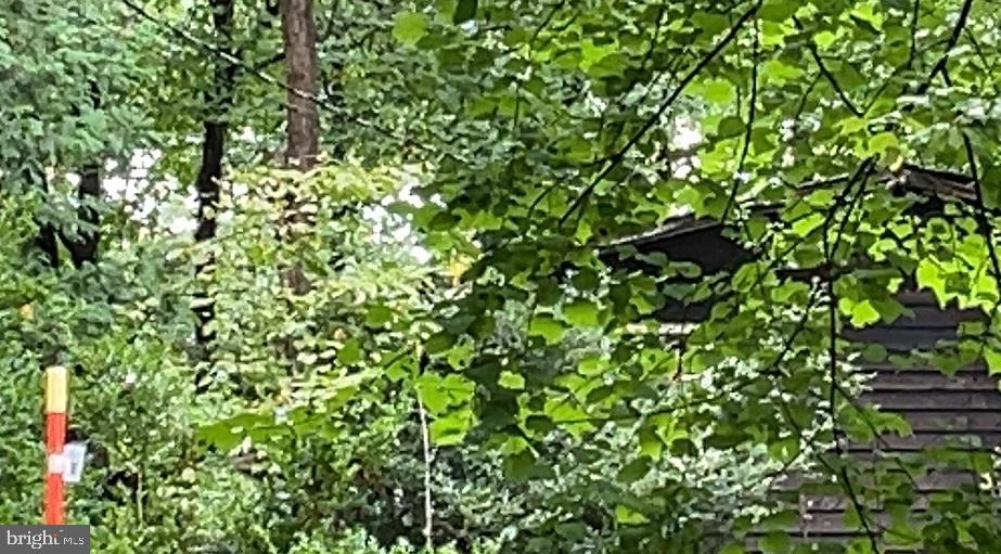 12348 Purcell Manassas, VA 20112 - Photo 12 of 12 Mature trees provide privacy from road.