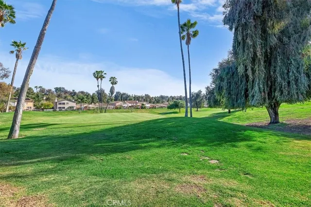 a view of a park with a tree