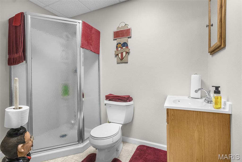 1614 Jackson Ridge Drive Jackson, MO 63755 - Photo 28 of 30