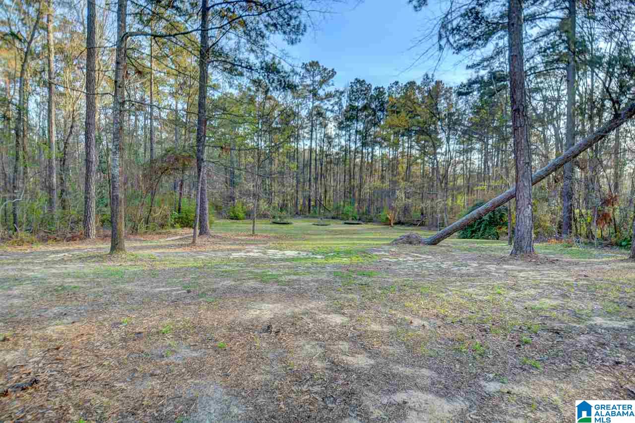 1351 Hinkle Road Clanton, AL 35045 - Photo 33 of 36