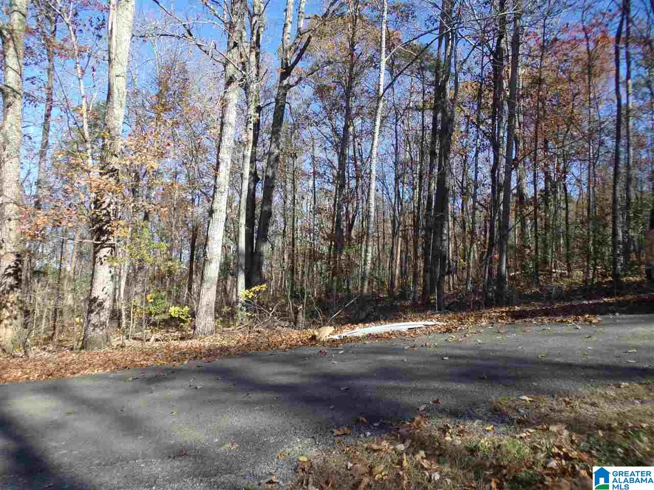156 Pine Street Oneonta, AL 35121 - Photo 28 of 43