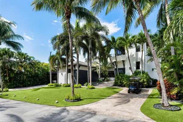 a garden with palm trees
