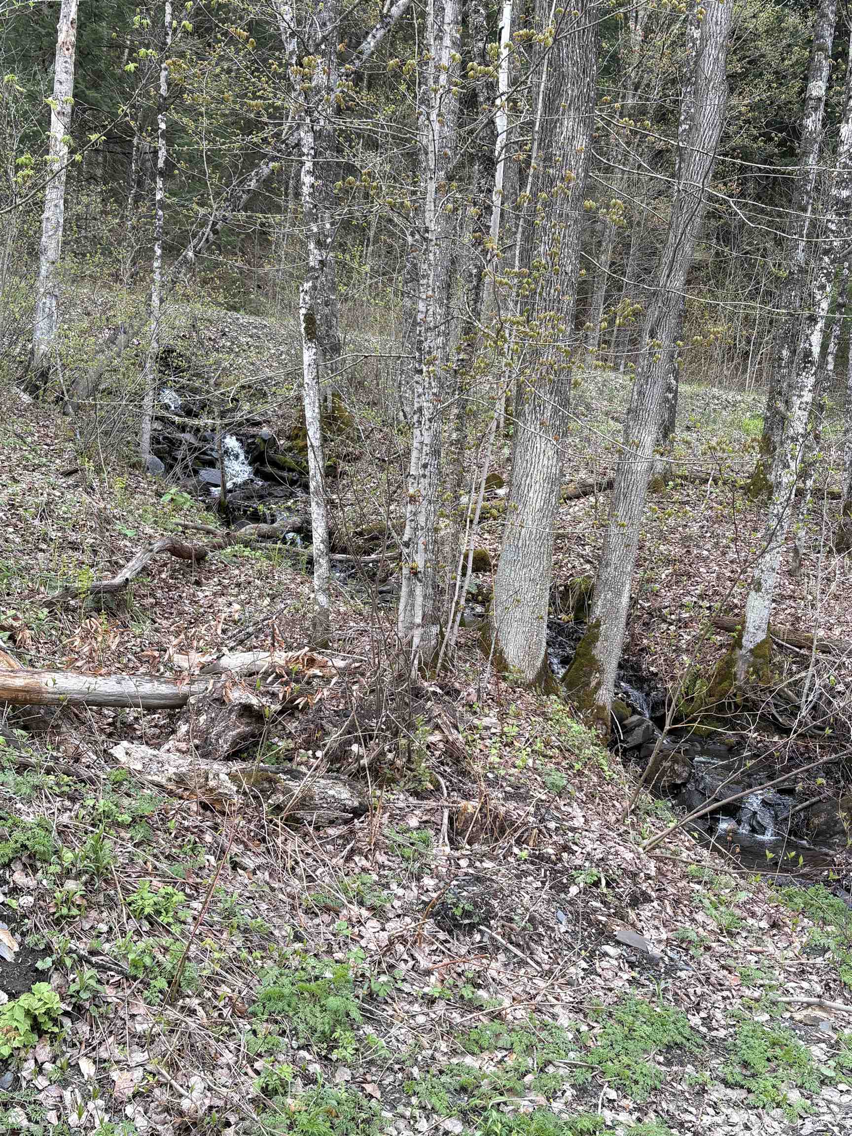 169 Bear Hill Road Braintree, VT 05060 - Photo 24 of 25