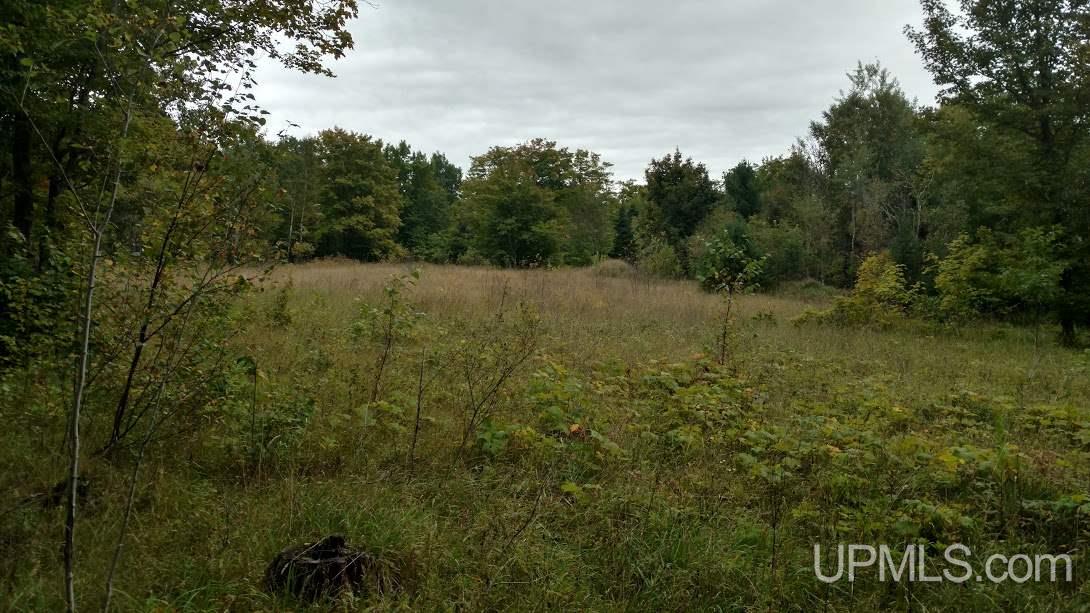 Tbd Wassa Road Calumet, MI 49913 - Photo 8 of 12