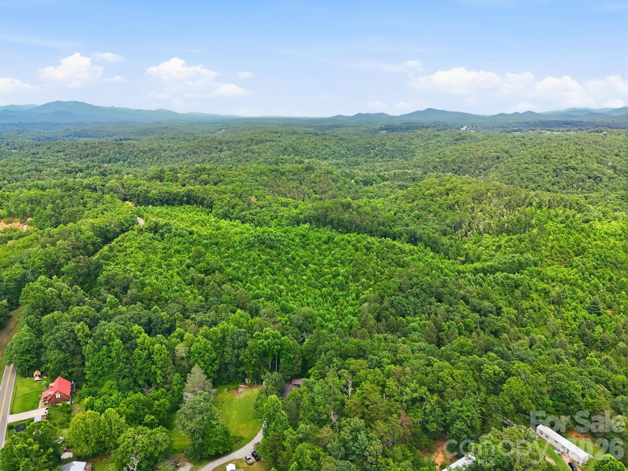 2301 Parker Padgett Road Old Fort, NC 28762 - Photo 2 of 17
