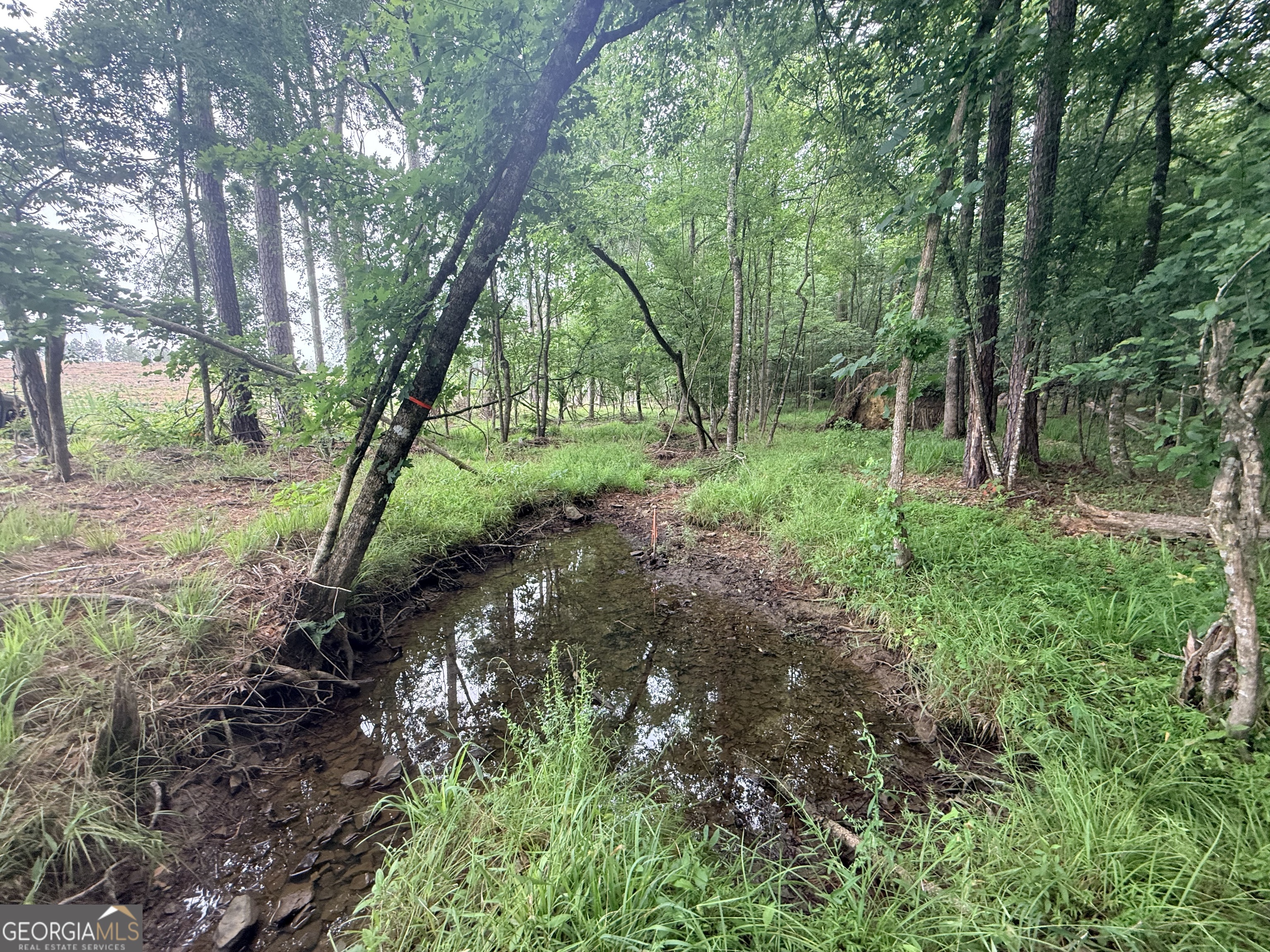 1 Bethesda Church Road Lexington, GA 30648 - Photo 38 of 78