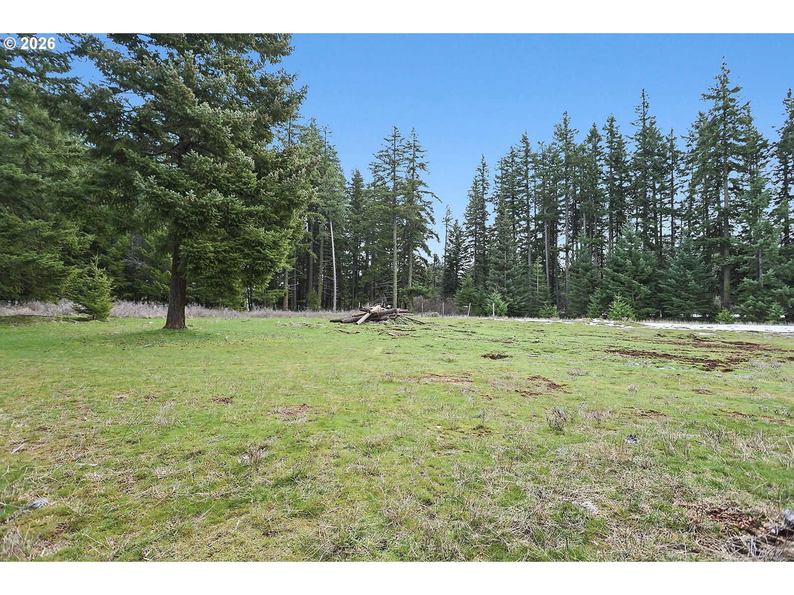6 Buckskin Road Appleton, WA 98602 - Photo 5 of 36 Gallery Image 5