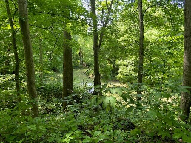 113 Lee's Creek Road Dover, KY 41034 - Photo 15 of 30 8
