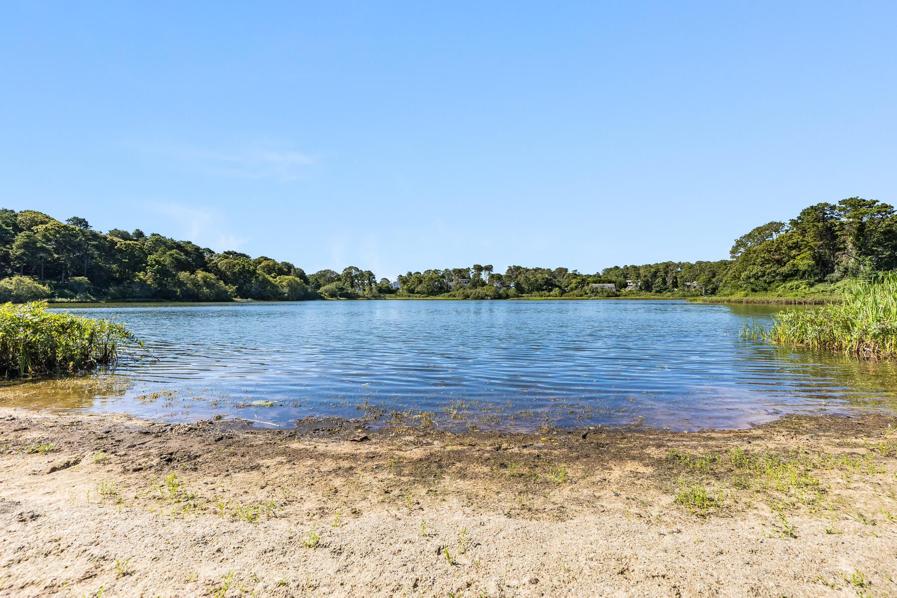 335 Old Queen Anne Road Chatham, MA 02633 - Photo 40 of 72 598A5447