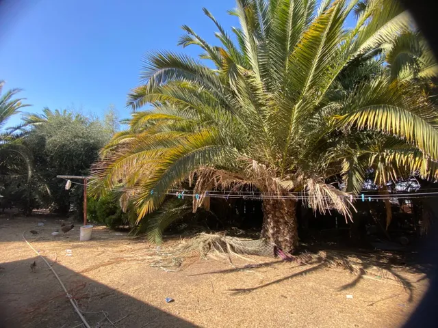 a view of outdoor space and yard