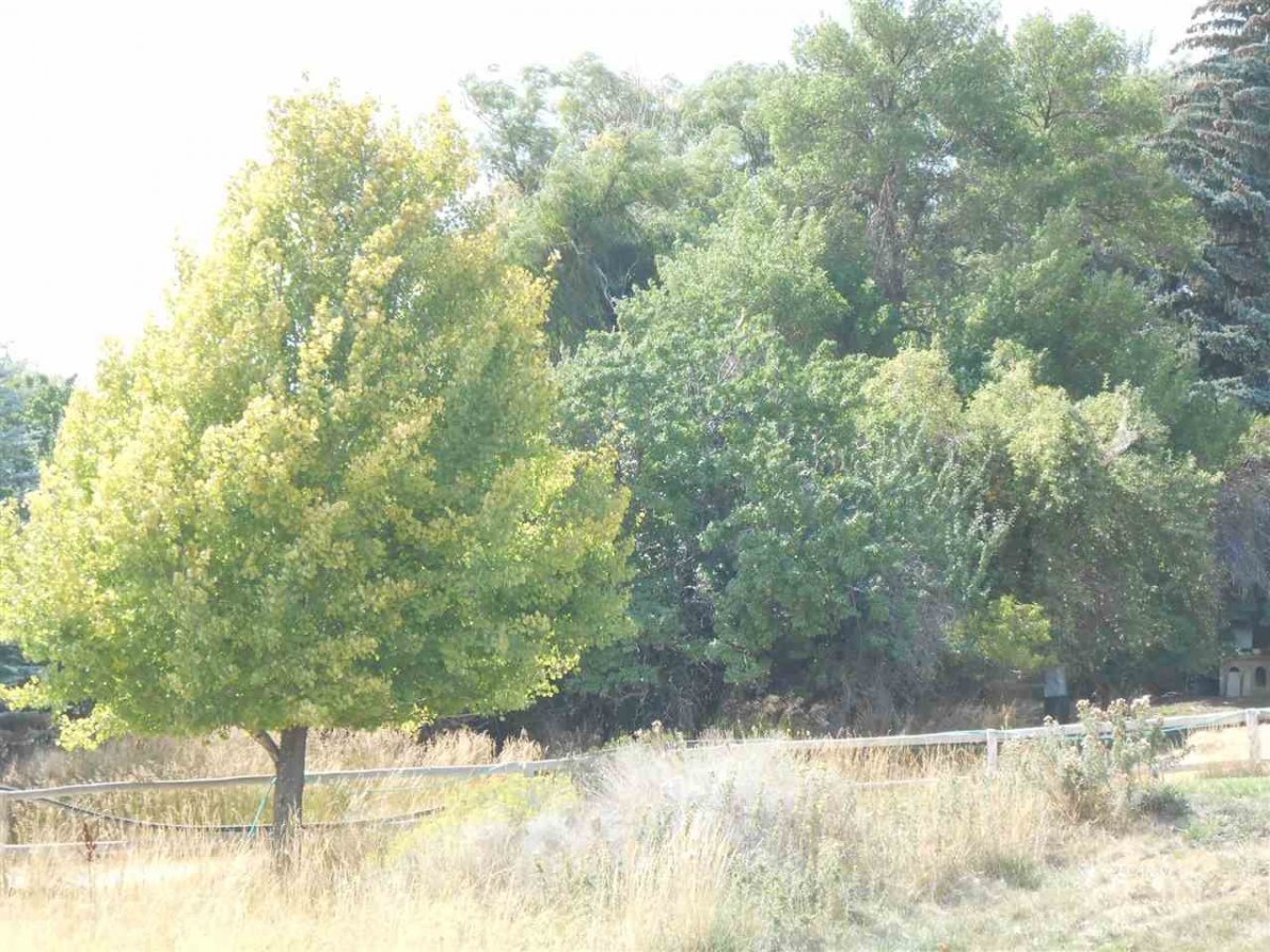 9039 Ruby Valley Road Spring Creek, NV 89815 - Photo 16 of 47 a view of a yard