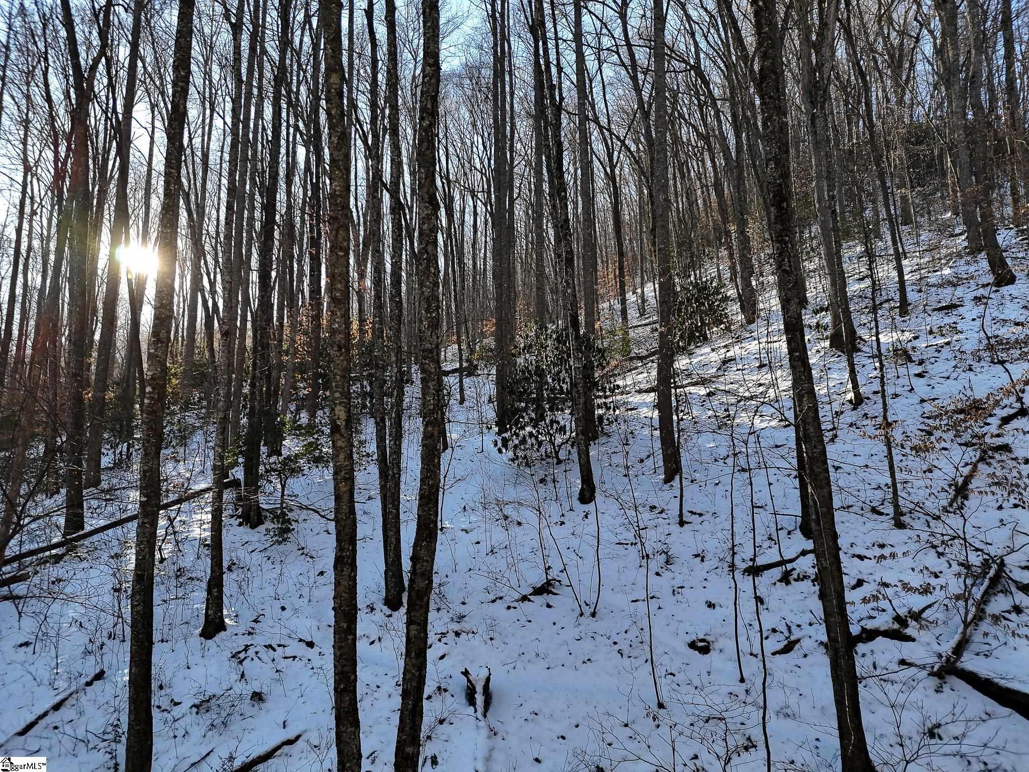 0 Bettys Creek Road, Unit SYLVA Sylva, NC 28779 - Photo 15 of 37