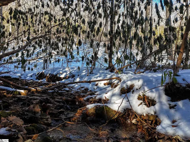 $375,000 | 0 Bettys Creek Road, Unit SYLVA, Sylva, NC 28779