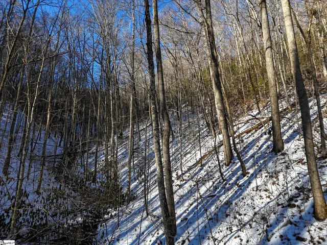 $375,000 | 0 Bettys Creek Road, Unit SYLVA, Sylva, NC 28779