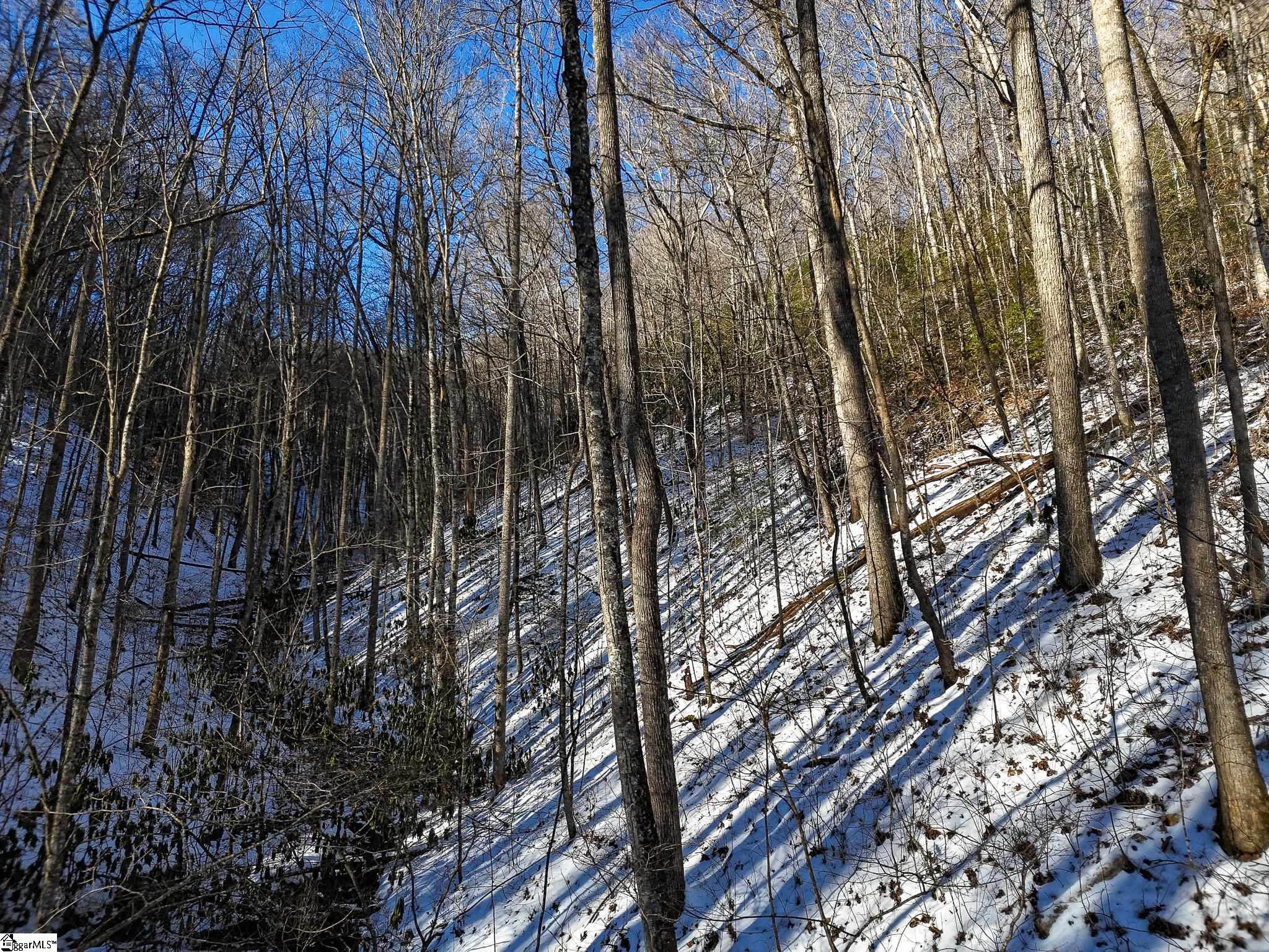 0 Bettys Creek Road, Unit SYLVA Sylva, NC 28779 - Photo 25 of 37