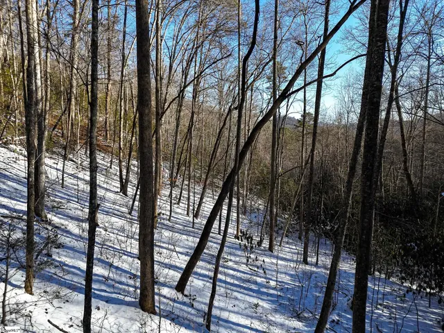 $375,000 | 0 Bettys Creek Road, Unit SYLVA, Sylva, NC 28779