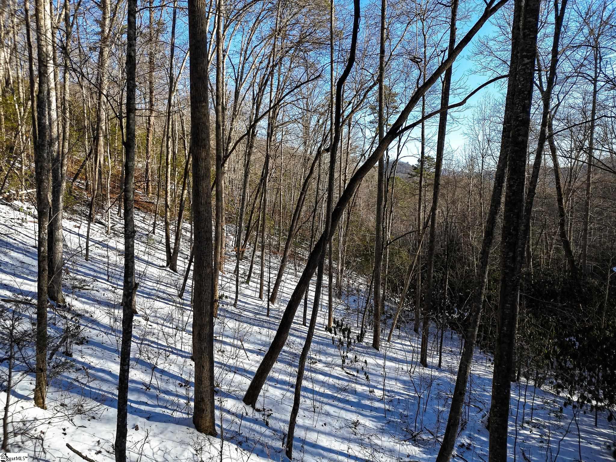 0 Bettys Creek Road, Unit SYLVA Sylva, NC 28779 - Photo 26 of 37
