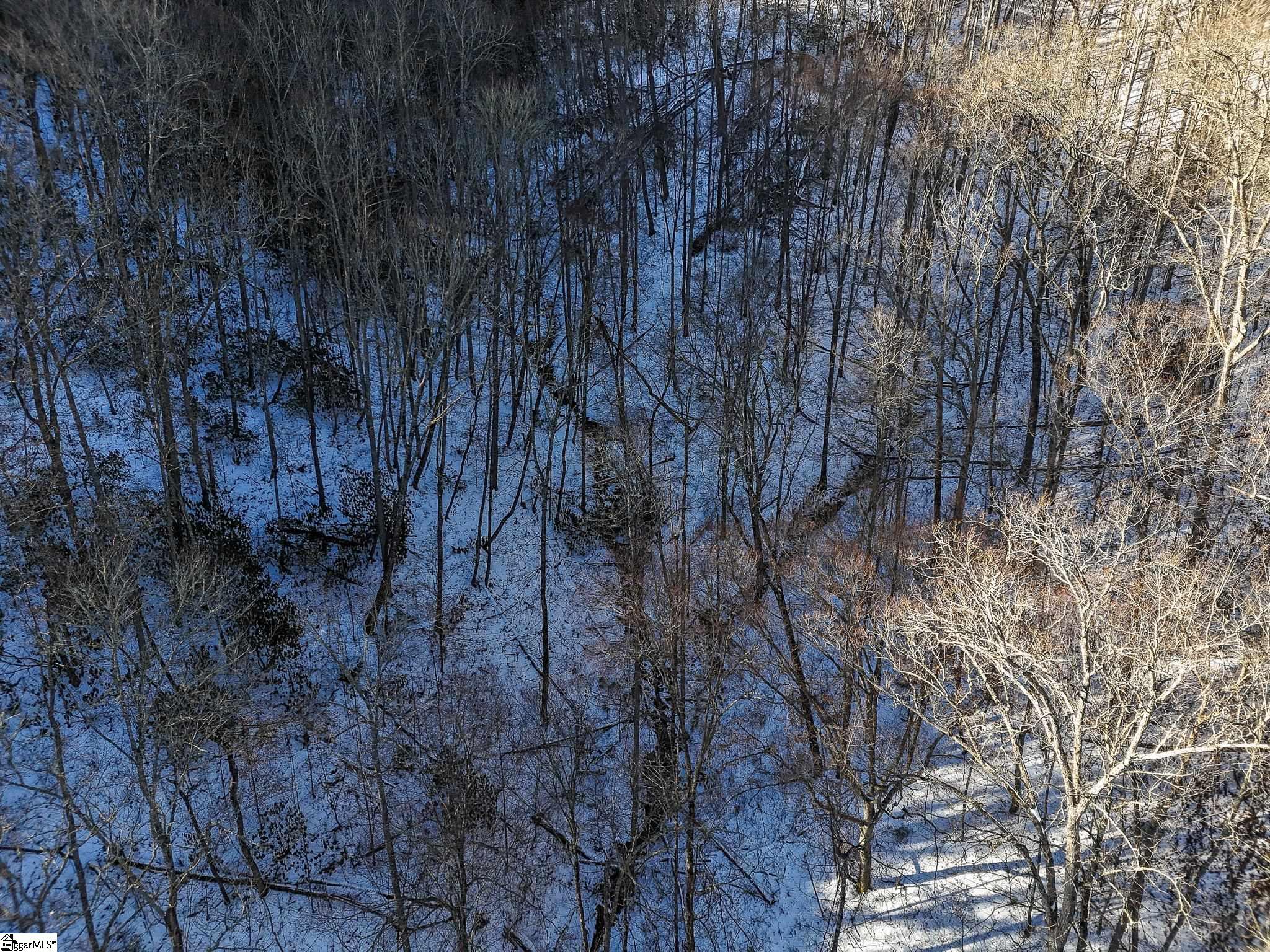 0 Bettys Creek Road, Unit SYLVA Sylva, NC 28779 - Photo 27 of 37