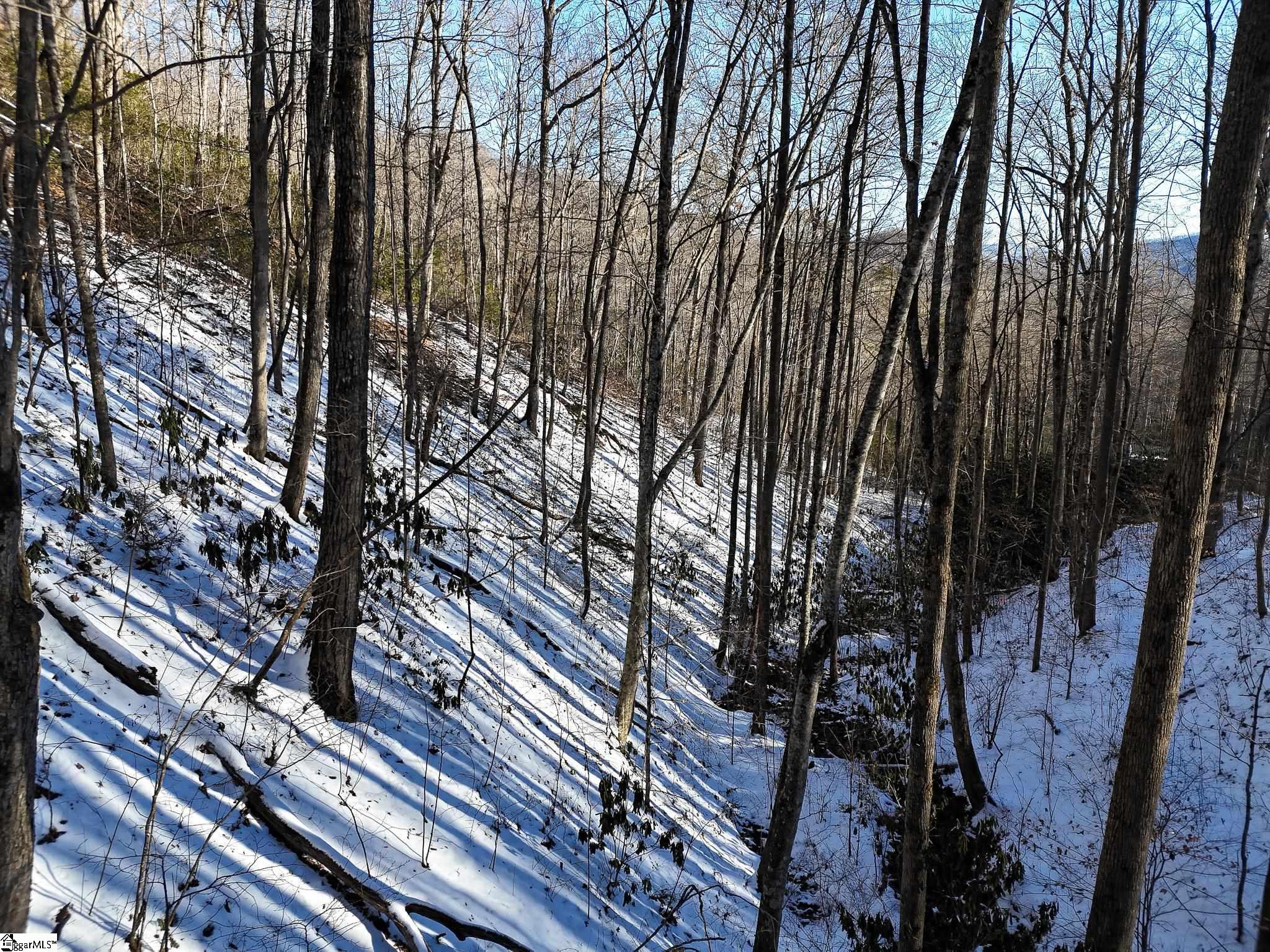 0 Bettys Creek Road, Unit SYLVA Sylva, NC 28779 - Photo 29 of 37