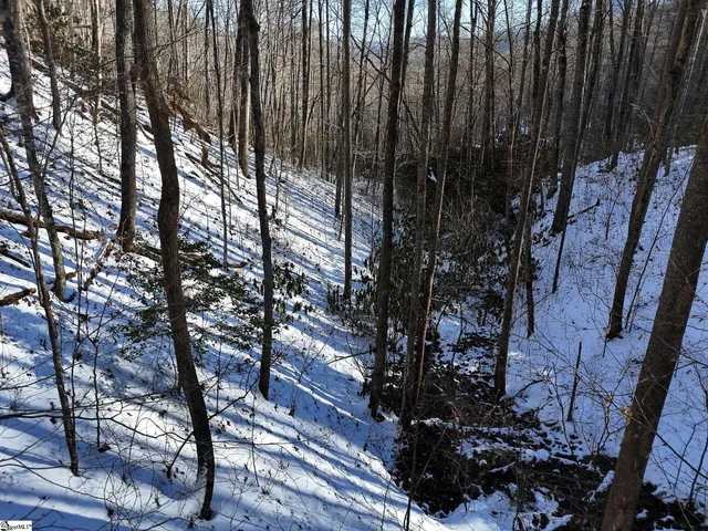 $375,000 | 0 Bettys Creek Road, Unit SYLVA, Sylva, NC 28779