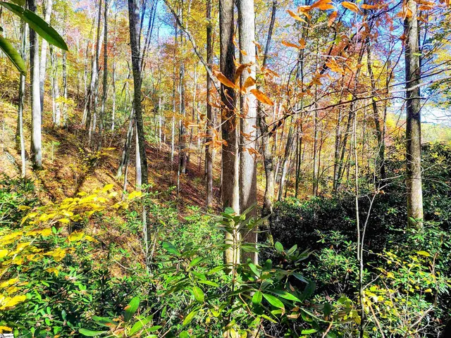 $375,000 | 0 Bettys Creek Road, Unit SYLVA, Sylva, NC 28779