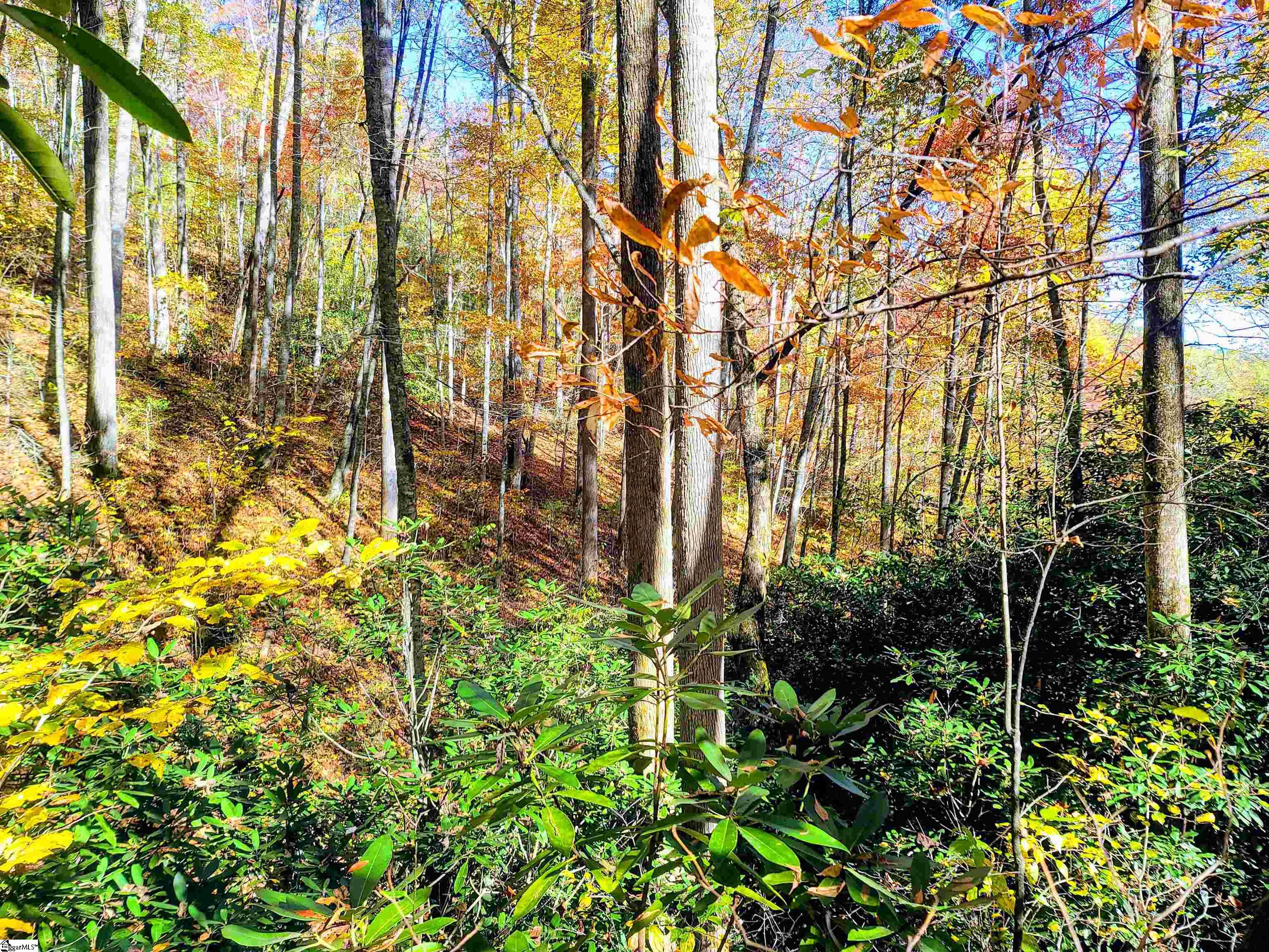 0 Bettys Creek Road, Unit SYLVA Sylva, NC 28779 - Photo 6 of 37