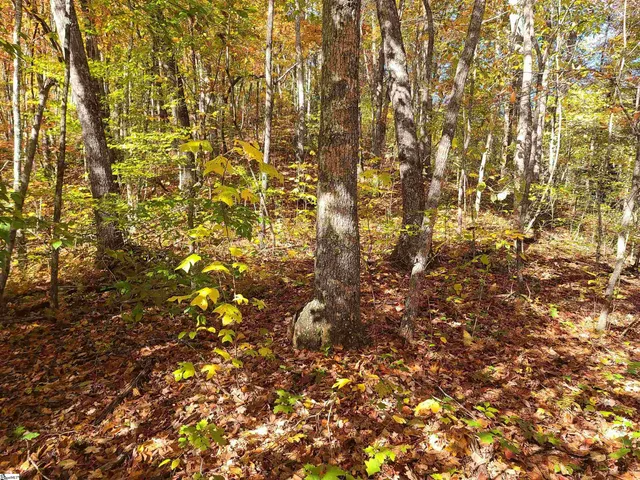 $375,000 | 0 Bettys Creek Road, Unit SYLVA, Sylva, NC 28779