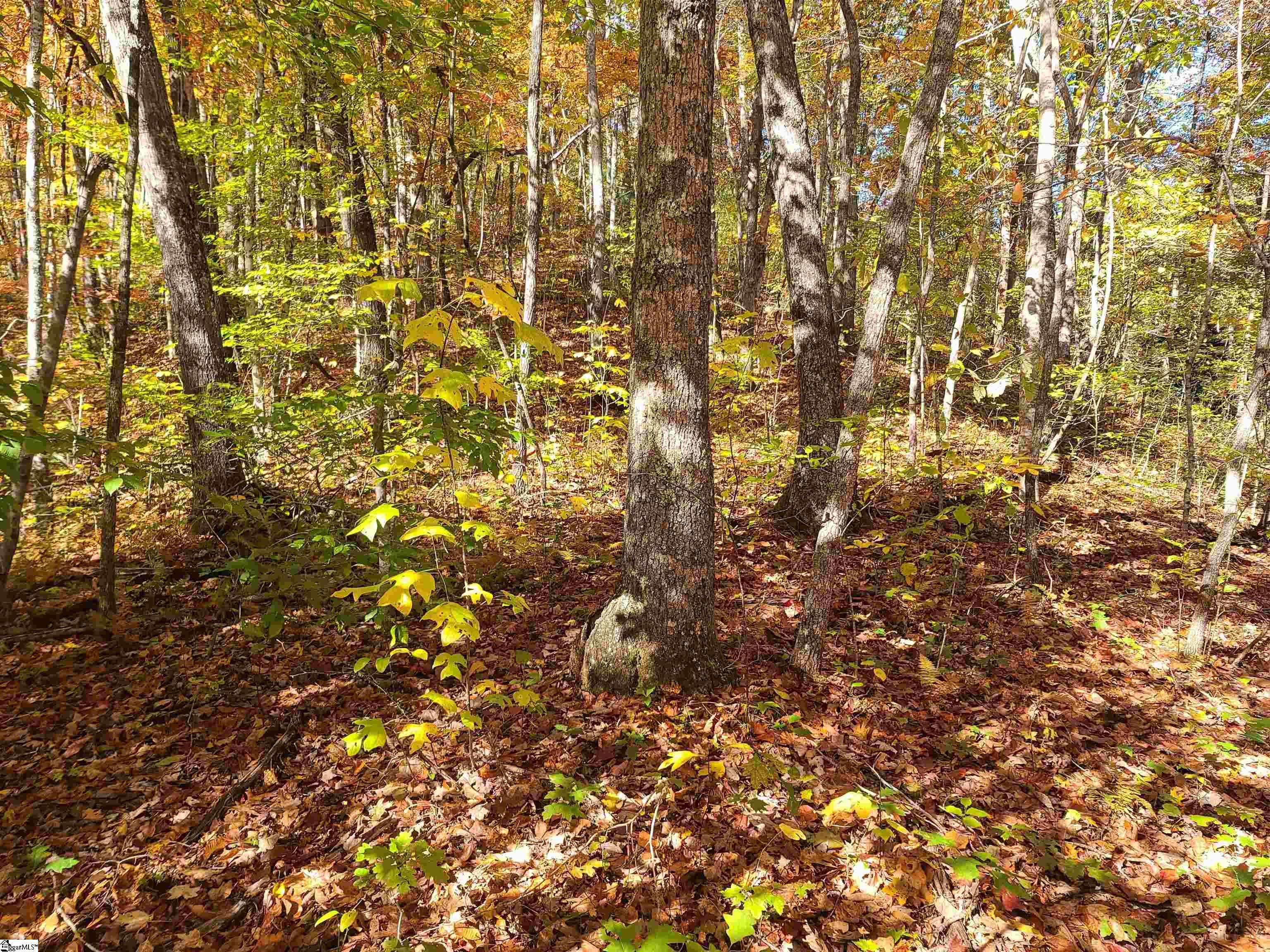 0 Bettys Creek Road, Unit SYLVA Sylva, NC 28779 - Photo 7 of 37
