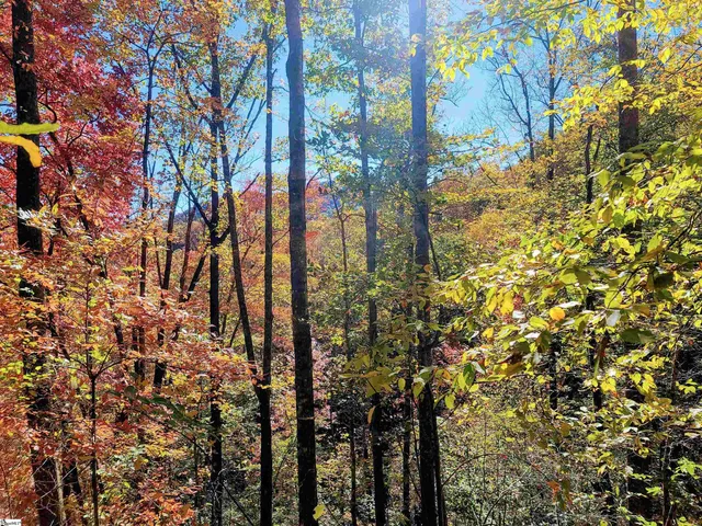 $375,000 | 0 Bettys Creek Road, Unit SYLVA, Sylva, NC 28779