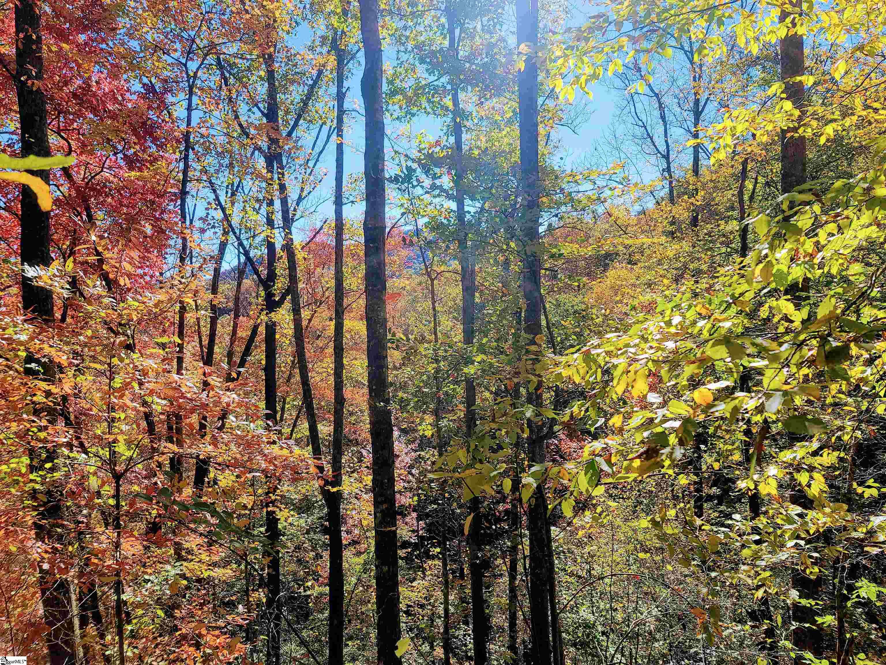 0 Bettys Creek Road, Unit SYLVA Sylva, NC 28779 - Photo 8 of 37