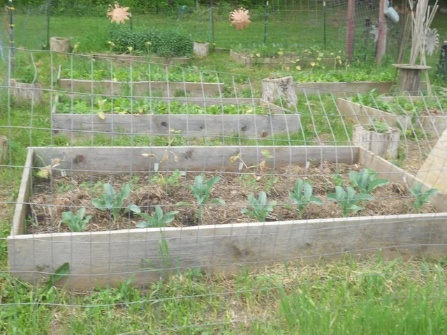 $255,000 | 144 Prospect Valley Road, Willseyville, NY 13864