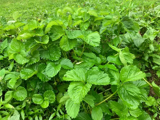 $255,000 | 144 Prospect Valley Road, Willseyville, NY 13864