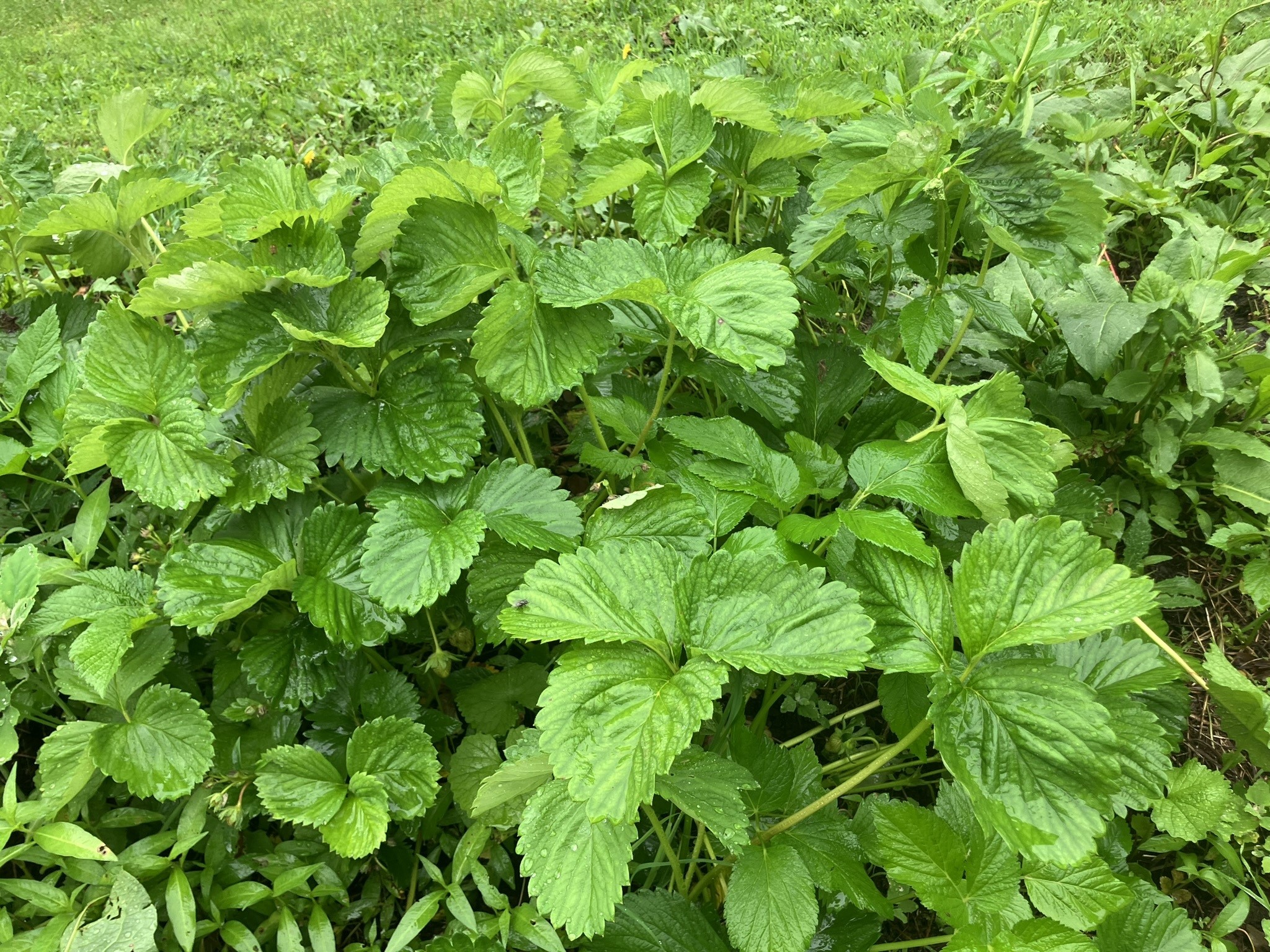 144 Prospect Valley Road Willseyville, NY 13864 - Photo 32 of 38